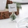 Sprig Foliage Glass Bauble Place Card Holders - 4cm (6pk) -Festive Home 23 xmasplac15