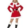 Miss Santa Dress - Adult Costume -Festive Home 4 15688