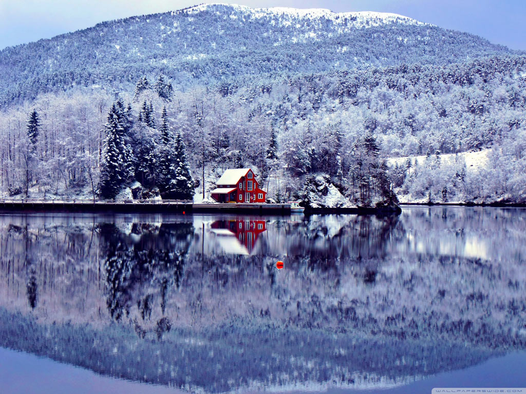 Festive Home -Festive Home anh dep mua dong 23