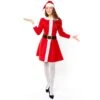 Santa Dress - Adult Costume -Festive Home fanc19142 7